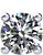 14kt White 1 1/2 CTW Diamond Earrings